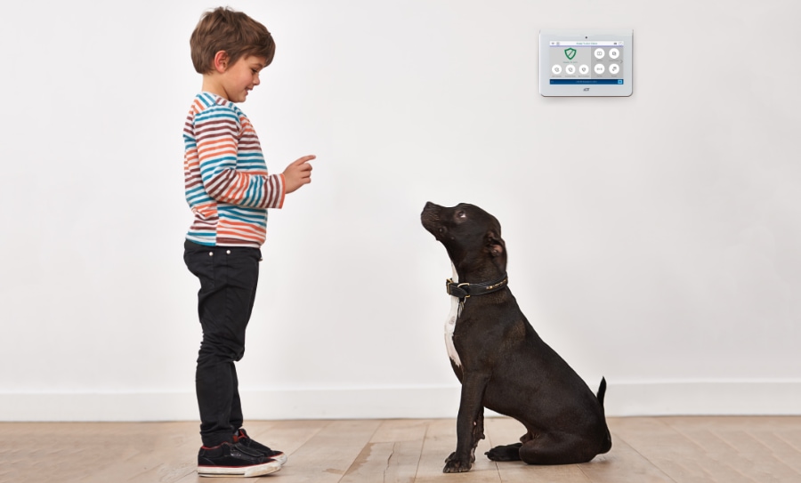 Midland City security systems