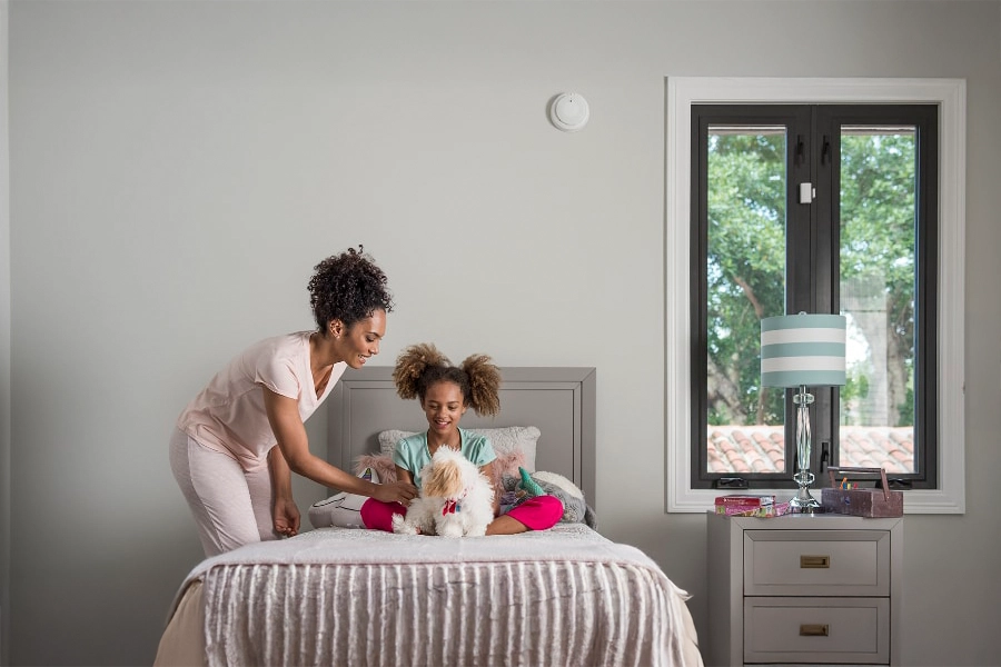 smoke & carbon detector Dothan